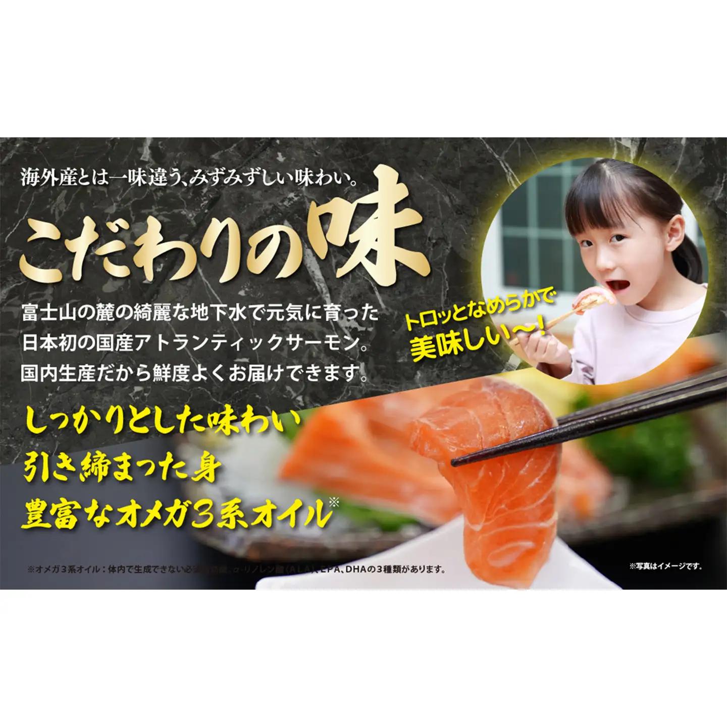 サーモン 冷凍 6～7P 約1.5kg サーモン
