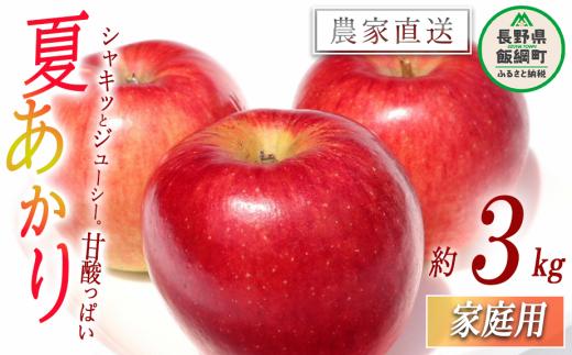 りんご 夏あかり 家庭用 3kg マルカズりんご農園 沖縄県への配送不可 2025年8月中旬頃から2025年8月下旬頃まで順次発送予定 令和7年度収穫分 信州 果物 フルーツ リンゴ 林檎 長野 12000円 予約 農家直送 長野県 飯綱町 [0989]