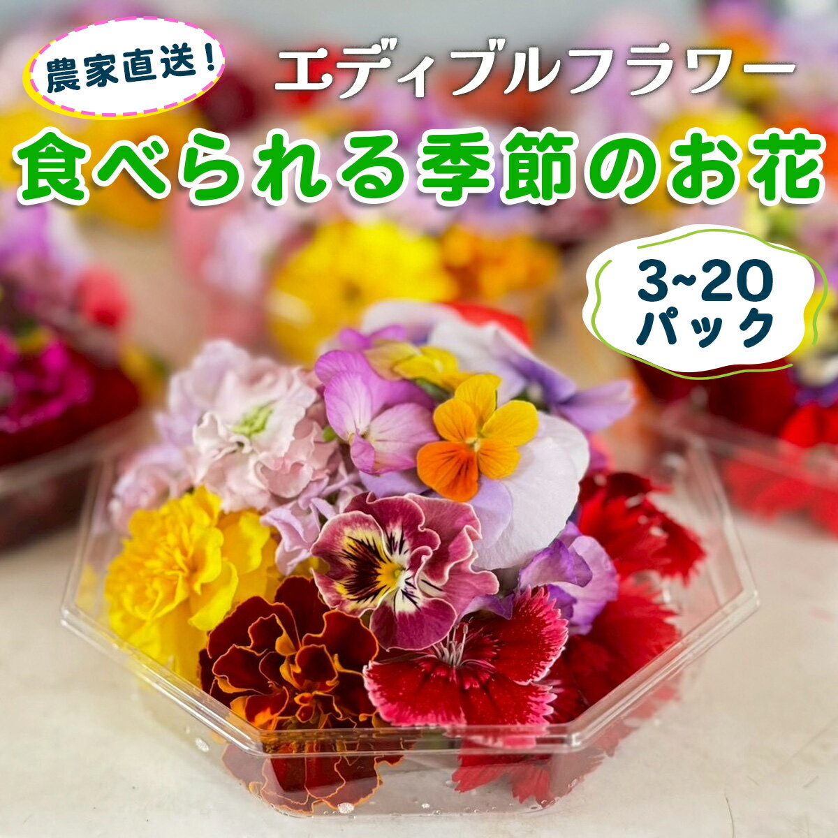 【ふるさと納税】農家直送！加藤さんちのエディブルフラワー《選べるパック数：3パック／5パック／10パック／15パック／20パック》(1パックあたり季節のお花15輪から30輪)｜食用 花 お花 野菜 トッピング 付け合わせ [0762-0767]