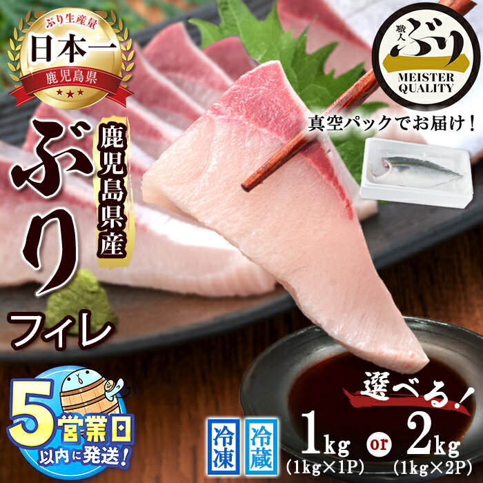【ふるさと納税】＜すぐ届く！＞【配送方法・内容量が選べる！】鹿児島産ぶりフィレ (冷蔵 or 冷凍) (1kg以上 or 2kg以上) ぶり 鰤 魚 海鮮 魚介 刺身 しゃぶしゃぶ 焼魚 煮魚 フィレ フィーレ 半身 片身 国産 鹿児島県産 垂水市産 冷凍 養殖 ぶり職人【アクアブルー】