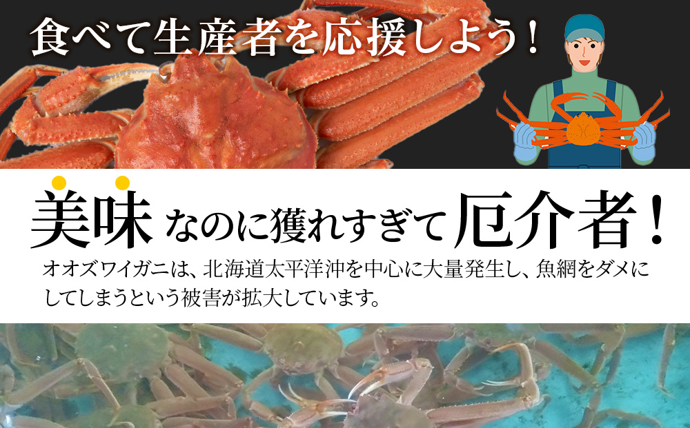 【白老町】☆オオズワイガニ　かにみそ80g×むき身150g（各2パック）_イメージ3