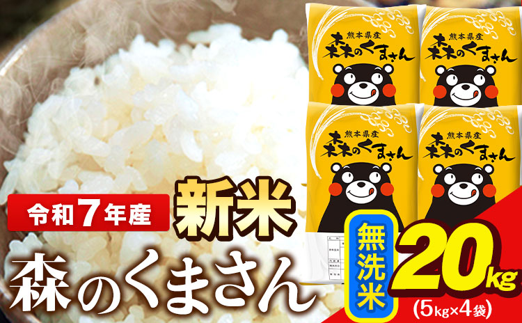 新米 米 令和7年産  無洗米  森のくまさん 20kg 5kg × 4袋  熊本県産 単一原料米 森くま《12月中旬-2月末頃出荷》送料無料