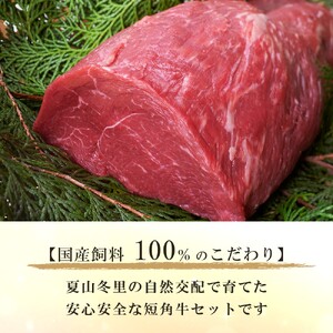 発送月指定OK！「山形村短角牛ステーキ 計1.3kgセット（冷蔵：モモ200g×2P、肩ロース300g×3P）」いわて 山形村 短角牛 牛肉 牛 赤身 セット 国産飼料 100％ 希少 貴重 数量限定