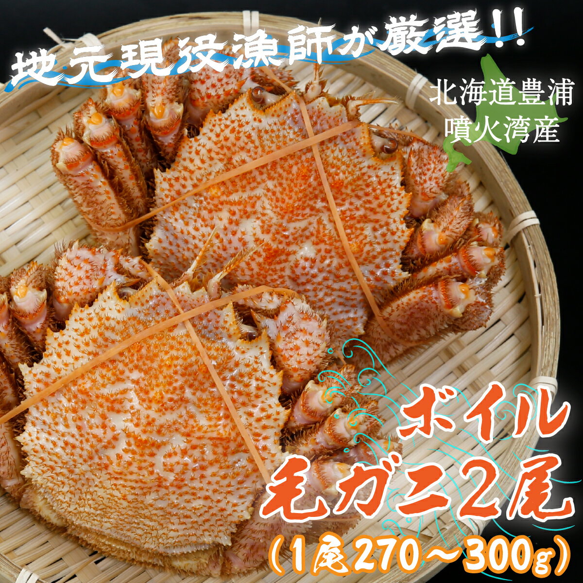 【ふるさと納税】【訳あり】【地元現役漁師が厳選！！】ボイル・毛ガニ2尾（1尾270～300g）北海道 豊浦 噴火湾 【 ふるさと納税 人気 おすすめ ランキング 魚介類 カニ 蟹 かに 毛がに 毛蟹 大容量 お得 おいしい 北海道 豊浦町 送料無料 】 TYUR005