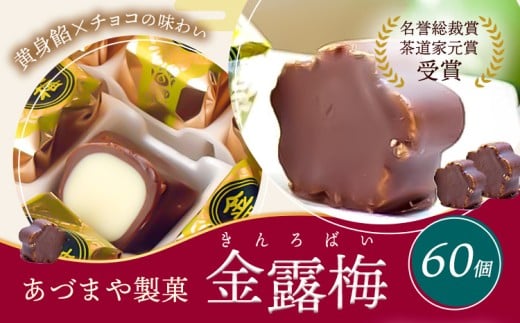 和菓子 黄身餡子 チョコレート 金露梅 60個 あづまや製菓有限会社 《30日以内に出荷予定(土日祝除く)》 徳島県 美馬市 阿波 郷土銘菓 自家製黄身餡 チョコ 名誉総裁賞 茶道家元賞 贈り物 お茶請け