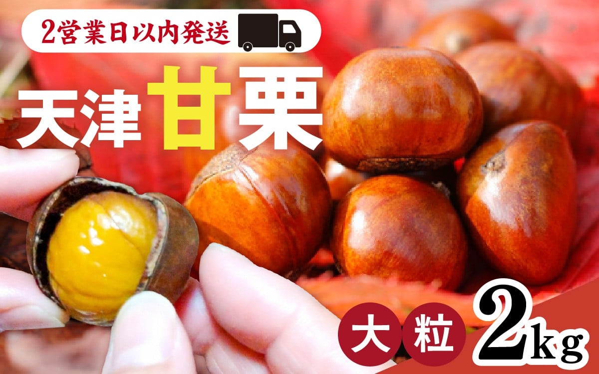 
            天津甘栗 2kg ／ 焼きたて 栗 くり マロン 秋 おやつ 栗爪 殻付き お菓子 おつまみ 人気 高リピート 小分け 栗ご飯 栗きんとん 甘露煮 こだわり 手軽 おためし お試し
          