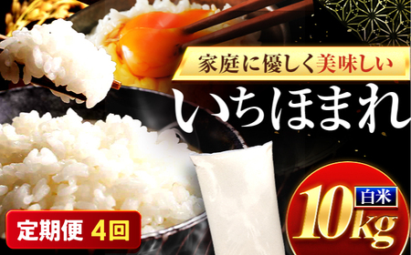 【4回定期便】 米 10キロ いちほまれ 白米 米 10キロ 小浜市 梅田東米穀店[BFEK034]