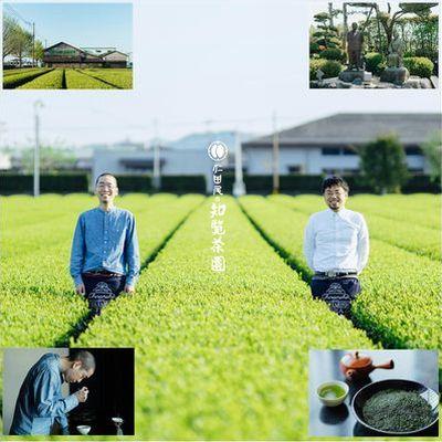 ふるさと納税 南九州市 知覧茶園の深むし茶「金」2本セット |  | 02