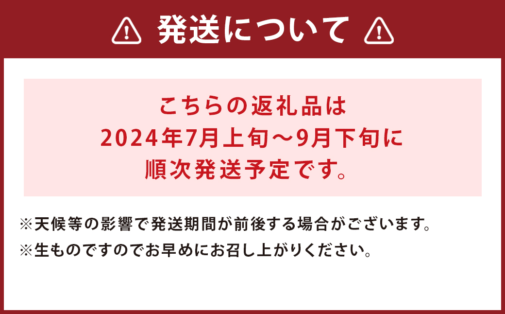 らんこし産 メロン （赤肉） 2玉 めろん 果物 フルーツ 国産 北海道 蘭越産 【2024年7月上旬～2024年9月下旬発送予定】