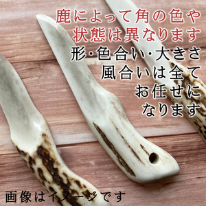 鹿の角 ペーパーナイフ 小 1個 右手用 【竜鹿】／ 鹿角 鹿 しか シカ グッズ 本物 加工 加工品 工芸 工芸品 クラフト ナイフ 右利き 日用品 雑貨 不揃い ふぞろい １個 人気 事務用品 事