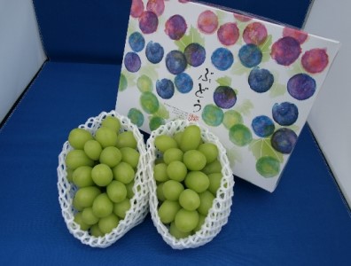 【2026年先行予約】村松農園 シャインマスカット2~3房 約1kg シャインマスカット