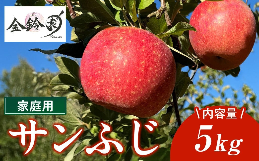 
            【 北上市産 りんご 】サンフジ 【 家庭用 】 5キロ (約13～20玉)  ＼12/24までの決済で 年内配送 可能／ 林檎 リンゴ サンふじ 5kg 国産 東北 岩手 産地直送 送料無料 フルーツ 果物 岩手県 北上市 C0171 金鈴園 季節限定 秋 冬 
          
