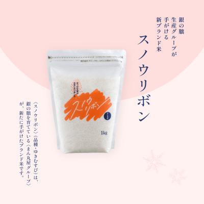 ふるさと納税 下呂市 (2026年11月中旬頃から順次発送)【2026年産】スノウリボン(ゆきむすび)3kg【13-57】 |  | 01