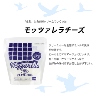 スワンレイクビール 3回定期便 世界一金賞受賞入り 季節限定ビール入り6本＆ヤスダヨーグルトモッツァレラチーズ2種 阿賀野市 新潟県 阿賀野 ビ－ル クラフト 飲み比べ クラフトビール お酒 1S50