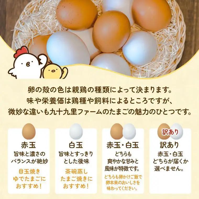 【定期便9回】九十九里ファームこだわりたまご贈答用 60個 ～あおい海・みどりの里～《白玉》 たまご 卵 玉子 タマゴ 白玉 卵かけご飯 新鮮 旨み 甘み 贈答用 贈答 ギフト 贈り物 千葉県 匝瑳市