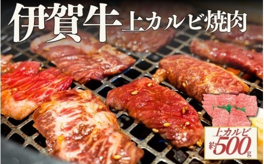 伊賀牛 上カルビ焼肉 約500g/ 伊賀牛 上カルビ カルビ 焼肉 約500g 牛肉 和牛 国産牛 ブランド牛 伊賀牛肉 牛カルビ 上カルビ肉 焼肉用 焼き肉 やきにく BBQ バーベキュー 肉 お肉 肉料理 牛肉料理 国産 高級肉 旨み お取り寄せ グルメ 冷凍 食品 自宅用 家庭用 ごちそう 伊賀 三重県産 伊賀牛 上カルビ 焼肉 牛肉 赤身 焼肉グルメ 和牛肉 【cook0054】