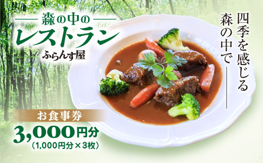 森の中のレストランふらんす屋 お食事券 3,000円分（1,000円分×3枚） ふるさと納税 食事券 チケット 森の中 レストラン テラス ドッグラン わんちゃんルーム 四季 自然 千葉県山武市 SMCB001