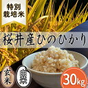 【ふるさと納税】＜特別栽培米＞桜井市高家産 ヒノヒカリ 30kg／特別栽培米　新鮮 玄米 白米 奈良県産 桜井市産 奈良のお米 ヒノヒカリ 藤本農園