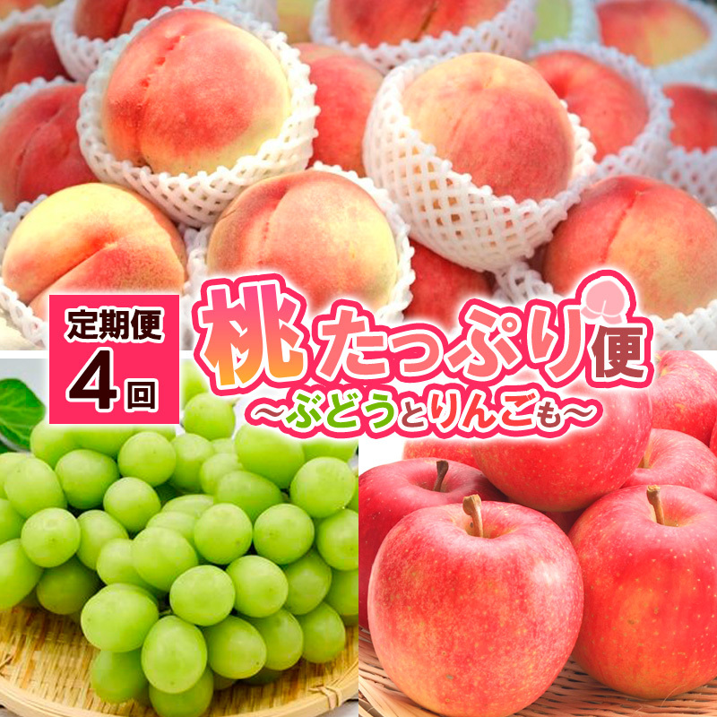 【定期便4回】桃たっぷり便～ぶどうとりんごも～ FY25-016