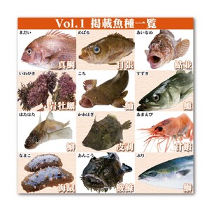 Fのさかなおもしろ図鑑vol.1（単品）