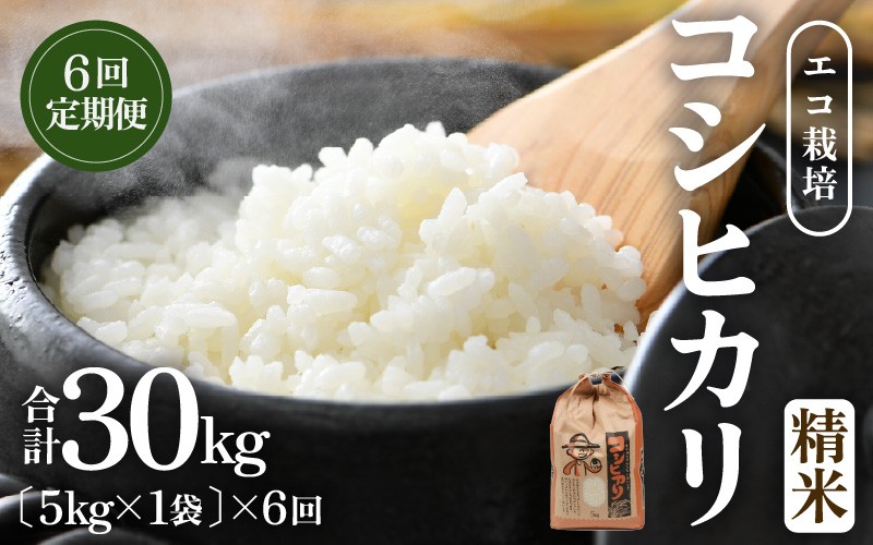 
                  【先行予約】【令和8年産 新米】【一等米】定期便 ≪6ヶ月連続お届け≫ エコ栽培コシヒカリ  白米5kg×6回 計30kg ／ 鮮度抜群 福井県産 こしひかり ご飯 新鮮 白米 ※2026年10月上旬以降順次発送 [aw063-e009]
                
