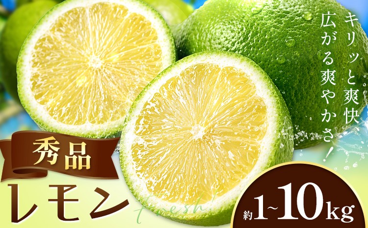 
                  レモン 秀品 緑色 檸檬 選べる内容量 1kg 2kg 3kg 4kg 5kg 6kg 7kg 8kg 9kg 10kg (1kgあたり8-11玉前後) 株式会社農業福祉研究機構《10月上旬-11月上旬頃出荷》和歌山県 紀の川市 フルーツ 果物 お取り寄せフルーツ
                