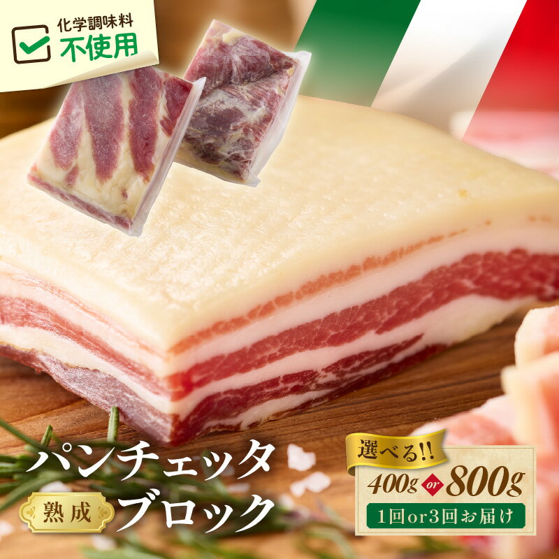 【ふるさと納税】パンチェッタブロック（豚バラ肉の塩漬け）　約200g×2袋