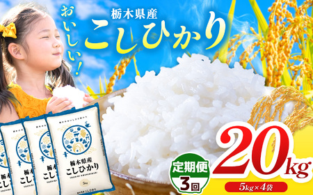 【定期便3回】栃木県産コシヒカリ 5kg×4 (20kg)