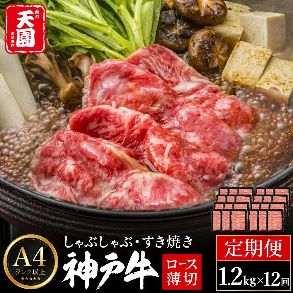 定期便 神戸牛 霜降り 肩ロース しゃぶしゃぶ すき焼き 計14.4kg（1.2kg×12回）毎月1回のお届け / A4ランク以上 しゃぶしゃぶ用 すき焼き用 牛肉 ロース 小分け 薄切り うす切り 冷凍 肉の天園