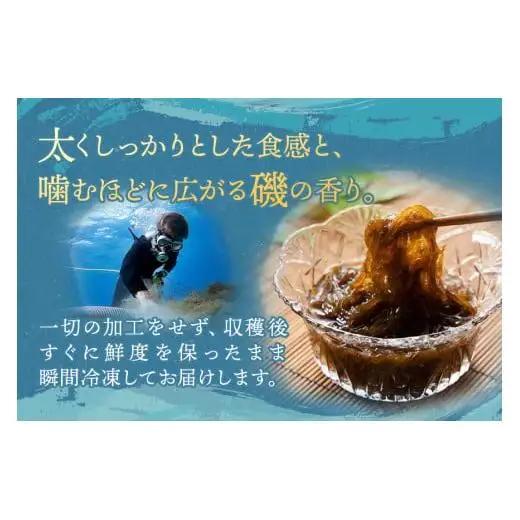 MJ03　生もずく10個セット　マジャーランド宮古島