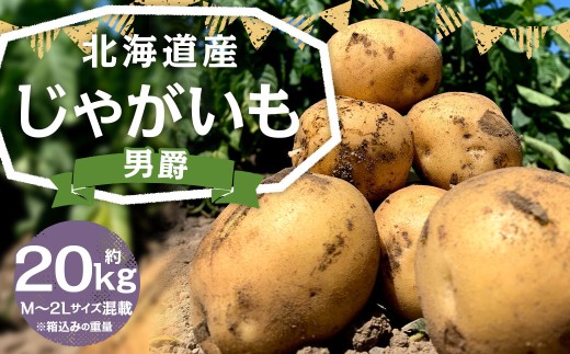 北海道産 じゃがいも 男爵 M～2Lサイズ混載 約20kg 1箱 【2026年9月下旬-2027年1月上旬迄発送予定】