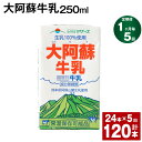 【ふるさと納税】【定期便】【1ヶ月毎5回】大阿蘇牛乳 250ml 24本 計120本（24本×5回） 牛乳 ミルク 成分無調整牛乳 乳飲料 乳性飲料 熊本県産 国産 九州 熊本県 菊池市 送料無料