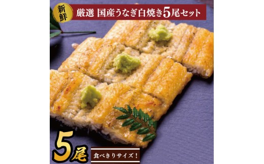 食べ切りサイズ！国内産うなぎの白焼(酒蒸し)100～120g 5尾　計500g以上|うなぎ 鰻 白焼 酒蒸し 食べ切り 茨城県 行方市（AD-71-3）