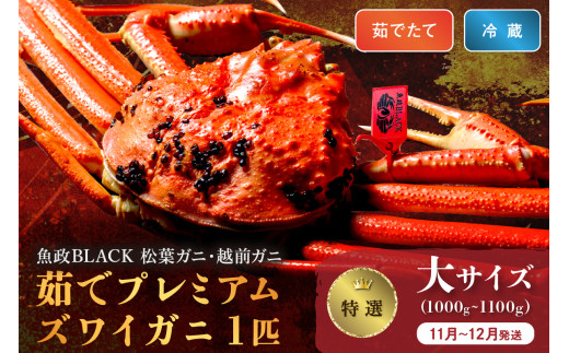 【11月～12月発送：土日祝着】【蟹の匠 魚政】茹で　プレミアムズワイガニ 魚政BLACK（松葉ガニ・越前ガニ）特撰 大サイズ（1000～1100g） 1匹(11月～12月発送)＜冷蔵＞ 松葉がに 松葉蟹 越前蟹 ズワイガニ 姿 ボイル 茹で　UO01298