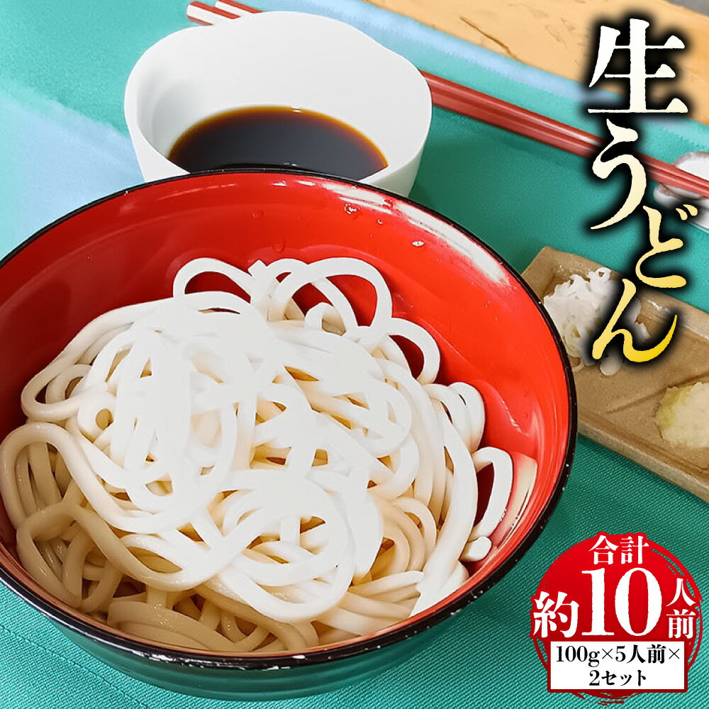 【ふるさと納税】生うどん100g×5人前×2セット | 合計10人前 辛汁 約540g（54cc×10本） 内容量約1.5kg 麺 めん 粉もの 粉物 生うどん うどん 冷凍 茨城県 守谷市 送料無料