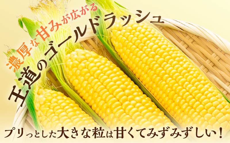 先行予約 スイートコーン ゴールドラッシュ 計4.5kg 国産 食品 野菜 品種 とうもろこし トウモロコシ とうきび 大粒 甘い おやつ 食べ方 簡単 レンジ 保存方法 冷蔵 11～15本 L～3L