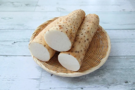 【先行受付】長芋 2L～4L 約10㎏｜ふるさと納税 松本市 長芋 長いも 料理 自然 芋 ビタミン 豊富 地元 新鮮