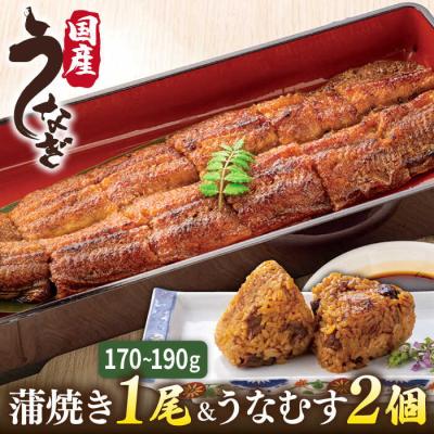 ふるさと納税 糸島市 蒲焼き 1尾/うなむす 2個セット 北ノ屋うなぎ [ACL006] 鰻 かばやき
