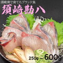 【ふるさと納税】 勘八 環八 カンパチ かんぱち 250g ～ 450g 1節 600g 2節 ブランド 魚 鮮魚 海鮮 刺身 さしみ 焼き魚 料理 簡単調理 背 腹 セット 下処理有 高知県 須崎市