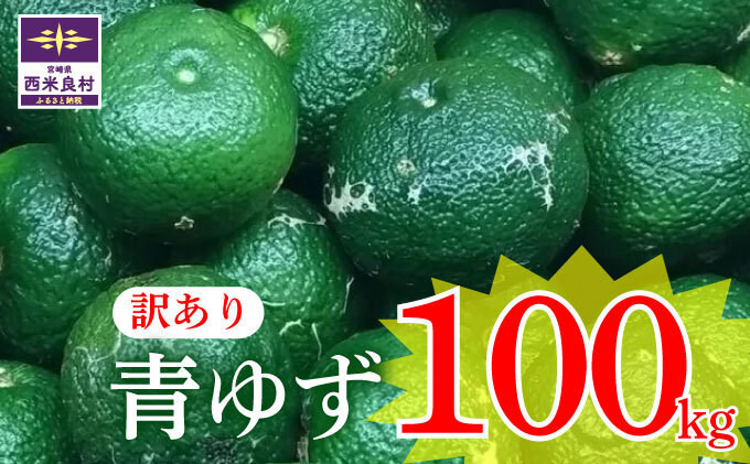 
                  【ワケあり】青柚子 100kg！ (軽バンでお届け)※8月中旬より発送開始
                