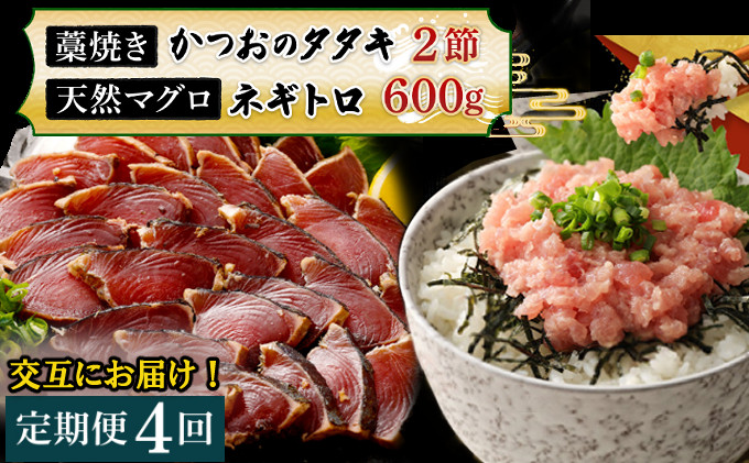 
【交互定期便 / ４ヶ月連続】 土佐流藁焼きかつおのたたき２節と高豊丸ネギトロ６００ｇ 魚介類 海産物 カツオ 鰹 わら焼き 高知 コロナ 緊急支援品 海鮮 冷凍 家庭用 訳あり 不揃い 規格外 連続 ４回 小分け 個包装 まぐろ マグロ 鮪 交互
