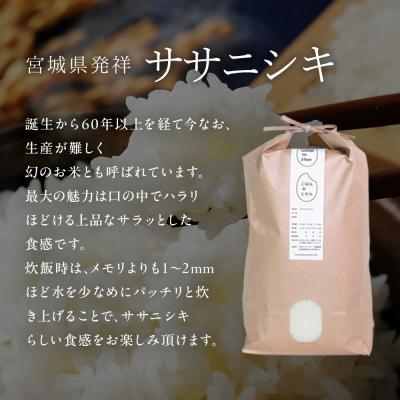 ふるさと納税 角田市 【先行予約】宮城県角田市産米【令和7年産】ササニシキ 5kg×1【10月中旬より順次発送】 |  | 02