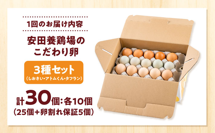 【全6回定期便】安田養鶏場の卵 3種セット しおさい アトムくん タフラン 30個入り（各10個入り） 横須賀市 産地直送 割れ保証付き たまご 黄身 濃厚 卵 玉子 タマゴ 鶏卵 【安田養鶏場】 [AKHN012]
