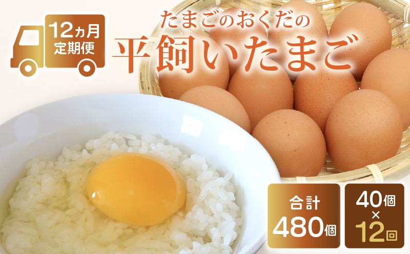 【定期便12回】 平飼い卵 40個入り たまご 卵 タマゴ 鶏卵
