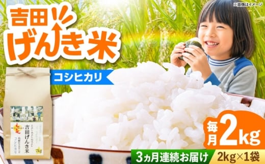 お米【全3回定期便】【新米】吉田げんき米コシヒカリ 2kg ｜こしひかり コシヒカリ げんき 米 こめ おこめ はくまい 白米 精米 コメ 2キロ 使いやすい ごはん ご飯 おにぎり お弁当 朝ごはん 便利 朝食 食卓 主食 グルメ おいしい ふっくら もちもち 食感 国産 新生活 一人暮らし 家族 ご当地 ごはんソムリエ おすすめ 人気 定期便 島根県雲南市/有限会社藤本米穀店[AIDB119]