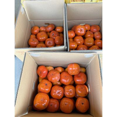 ふるさと納税 多気町 [令和8年度先行予約]優しい農園の次郎柿　10kg　家庭用 |  | 02