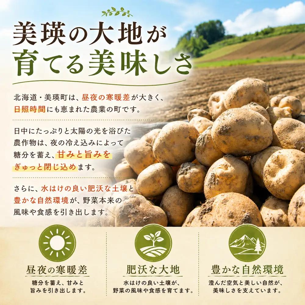 じゃがいも 【令和8年産予約受付】北海道 北あかり5kg じゃがいも [006-29]