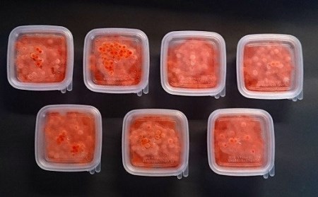 【時鮭スモークサーモン付】北海道日高産 塩いくら小分けパック(60g×14)【全6回定期便】[15-851]