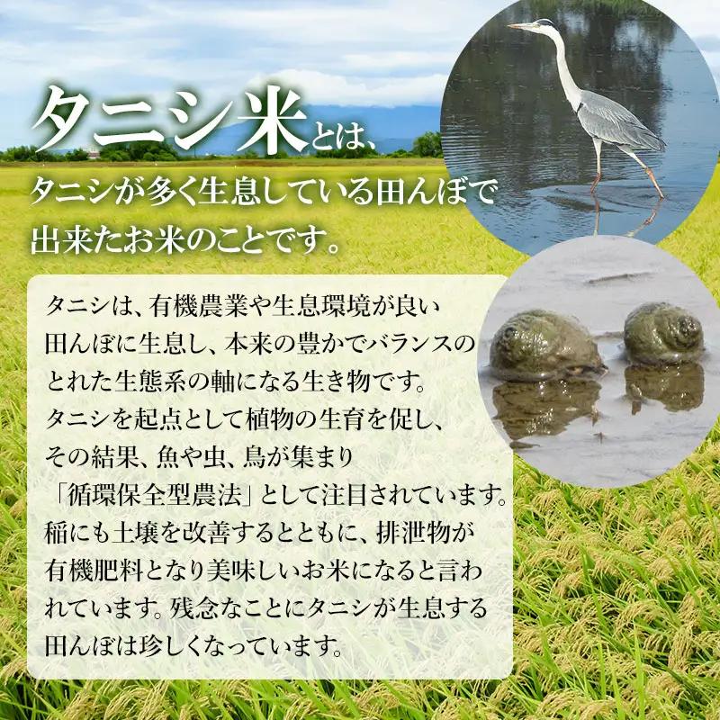 【令和7年産】特別栽培米 つや姫（タニシ米）精米10kg（5kg×2袋）　山形県鶴岡産　アベ・アグリ米　| つやひめ 米 コメ こめ 10キロ 米どころ 庄内米 ブランド米 ご飯 ごはん 美味しい お