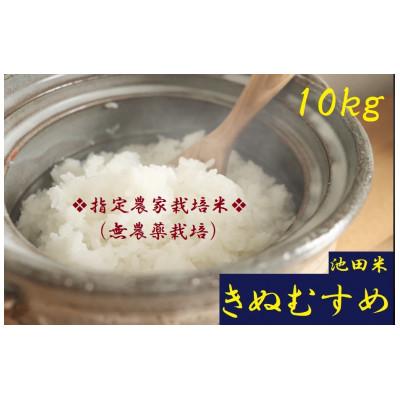 ふるさと納税 紀の川市 【栽培期間中農薬不使用】令和7年産 白米10kg(10kg×1袋入)紀の川市産(池田米)きぬむすめ